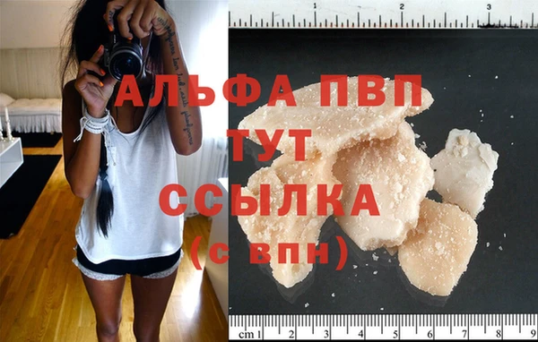 ECSTASY Богородицк